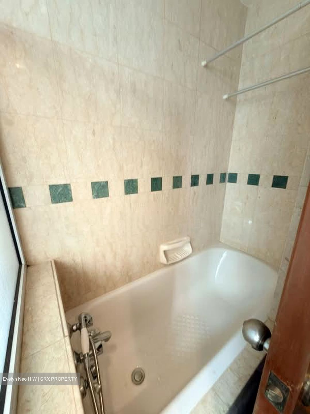 Evergreen Park (D19), Apartment #565046491